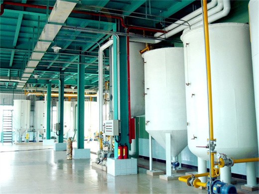 machine/soybean oil refining machine in russia