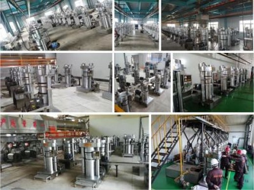 small scale sunflower oil production line, sunflower oil