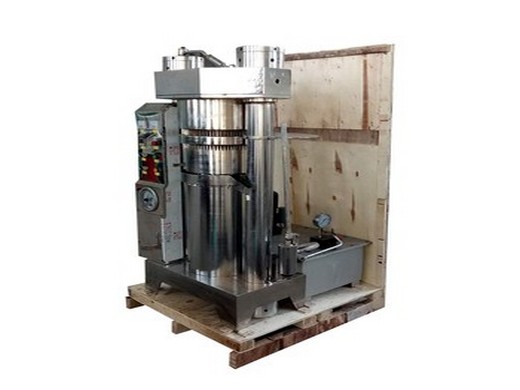 automatic oil press machine stainless steel cold hot press