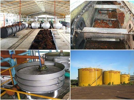 3. palm oil processing - food and agriculture organization