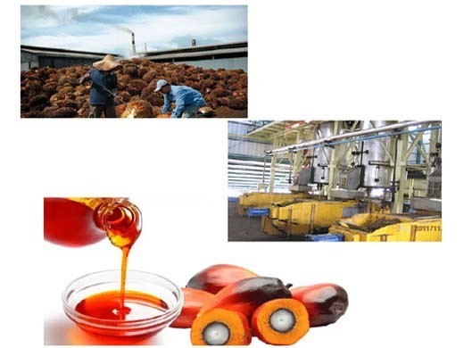 the palm oil industry and noncommunicable diseases.