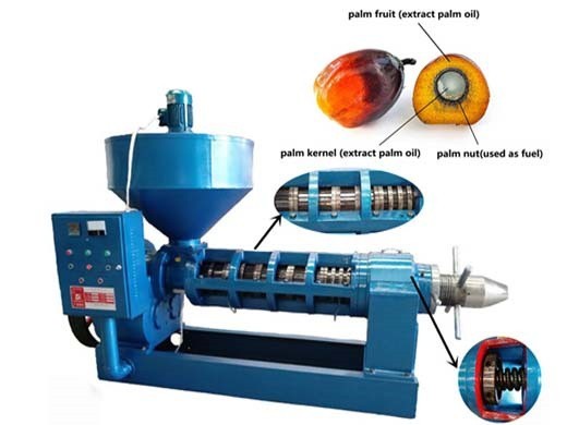 best brand new seed oil processing machinery for sale