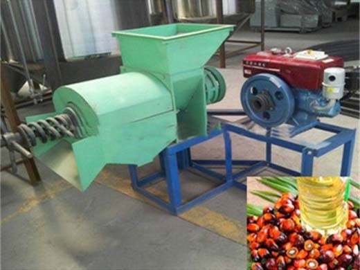 gridning mill for sale in pakistan palm kernel milling video